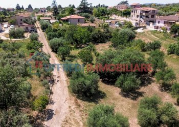 Terreno agricolo Velletri - foto 1