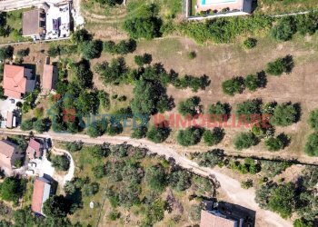 Terreno agricolo Velletri - foto 2