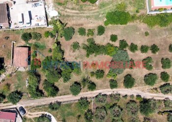 Terreno agricolo Velletri - foto 5