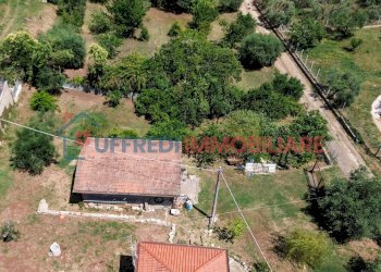 Terreno agricolo Velletri - foto 7