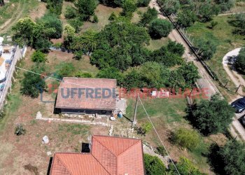 Terreno agricolo Velletri - foto 8