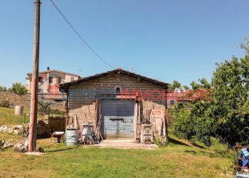 Terreno agricolo Velletri - foto 10