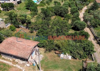 Terreno agricolo Velletri - foto 13