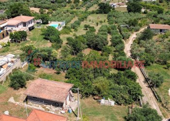 Terreno agricolo Velletri - foto 14