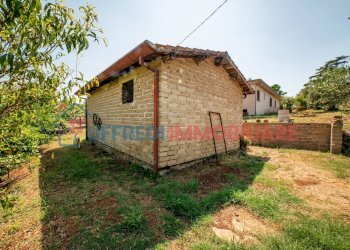 Terreno agricolo Velletri - foto 20