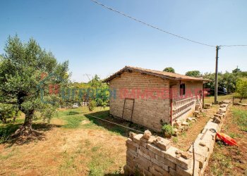 Terreno agricolo Velletri - foto 21