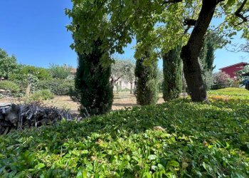 Casa semi indipendente Vicolo Turì, Sarzana - foto 33