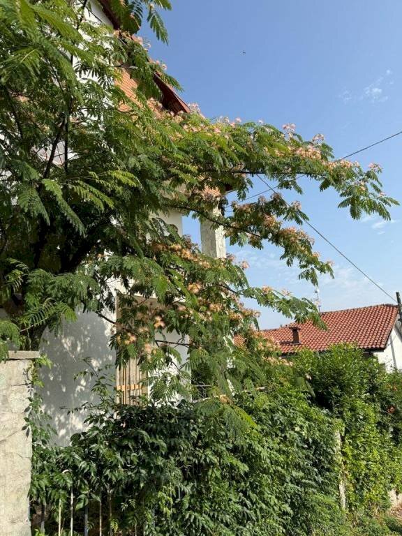 Independent house Castagnole delle Lanze - photo 3