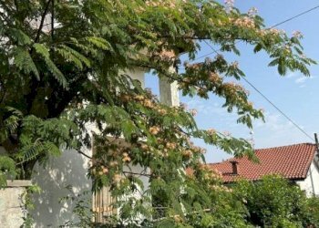 Casa indipendente Castagnole delle Lanze - foto 3