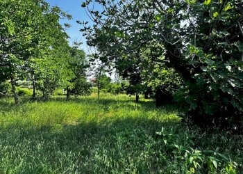 Foto 22 - Casa semi indipendente C.da Meleto
5, Belmonte Piceno - foto 22