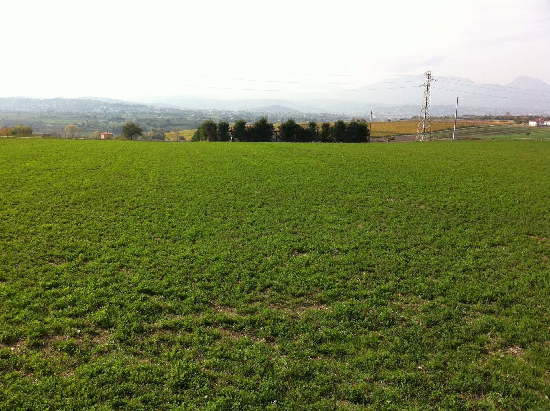 Foto 1 - Agricultural land Contrada Cancelleria, Benevento - photo 1