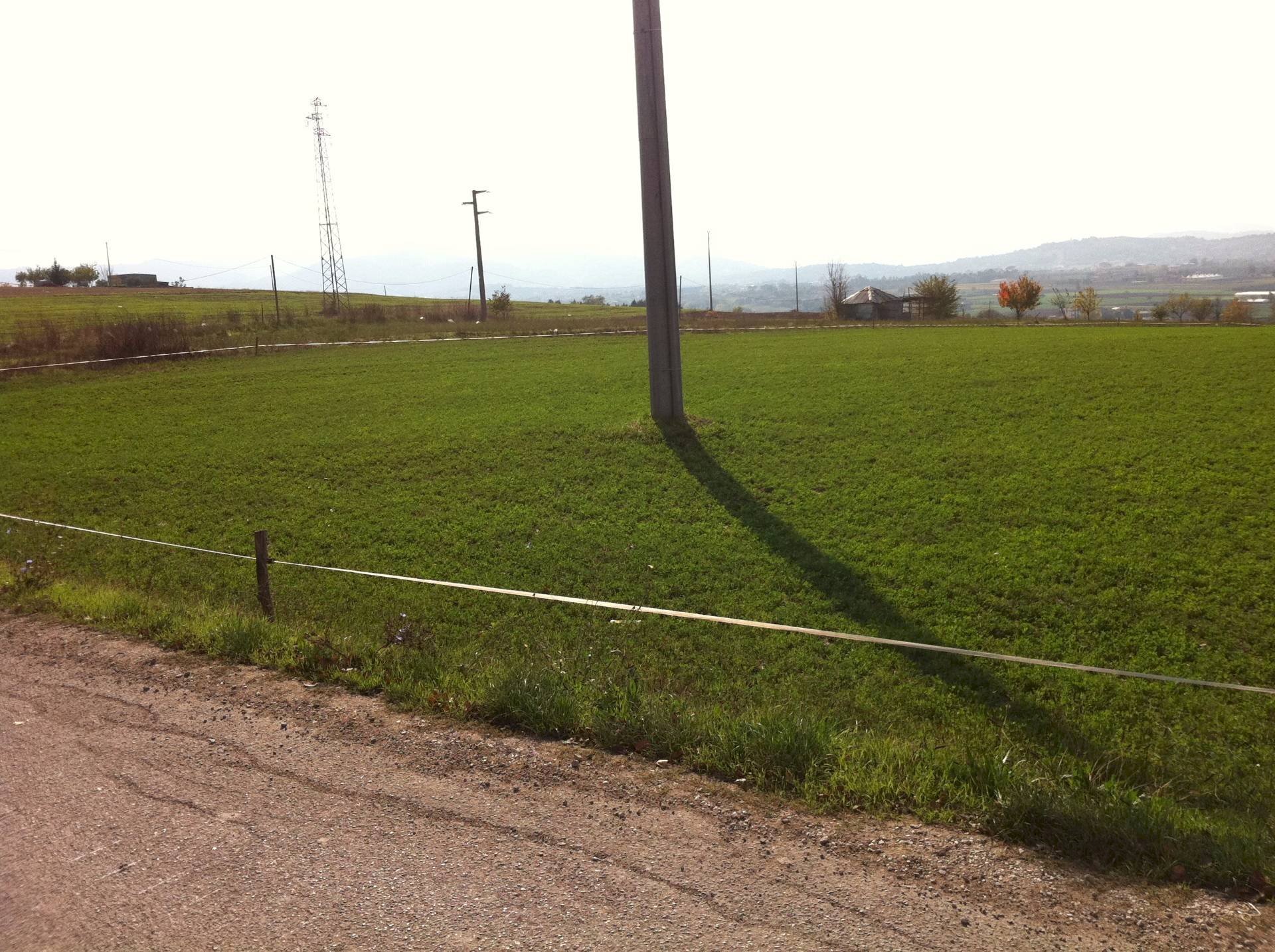 Foto 3 - Agricultural land Contrada Cancelleria, Benevento - photo 3