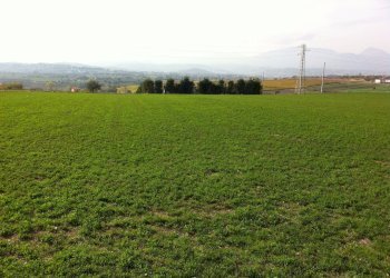 Foto 1 - Agricultural land Contrada Cancelleria, Benevento - photo 1