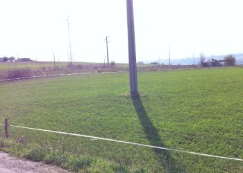 Foto 2 - Agricultural land Contrada Cancelleria, Benevento - photo 2