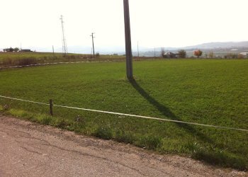 Foto 3 - Agricultural land Contrada Cancelleria, Benevento - photo 3