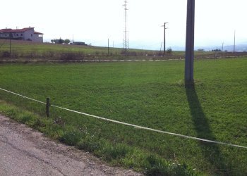 Foto 4 - Agricultural land Contrada Cancelleria, Benevento - photo 4