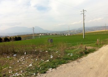 Foto 5 - Agricultural land Contrada Cancelleria, Benevento - photo 5