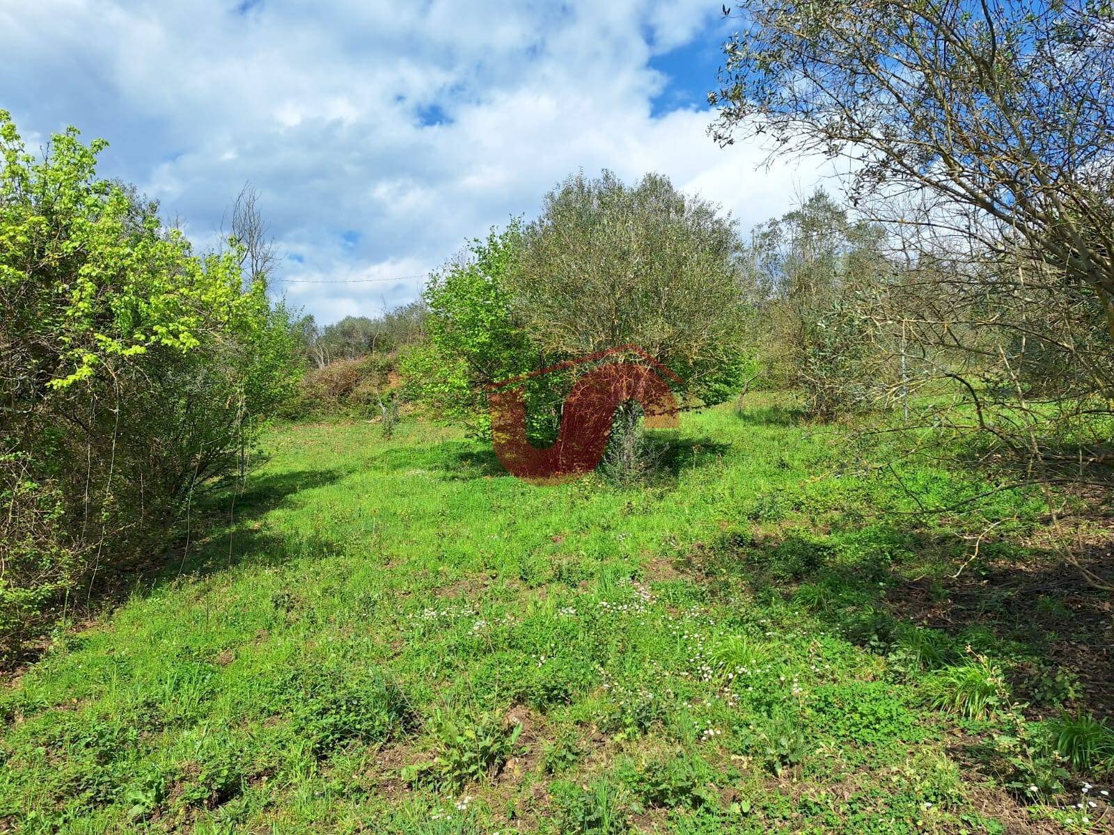Foto 1 - Building land Via Santa Croce
 
11, Sant'Angelo a Cupolo - photo 1