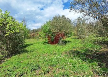 Foto 1 - Terreno edificabile Via Santa Croce
 
11, Sant'Angelo a Cupolo - foto 1