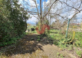 Foto 6 - Terreno edificabile Via Santa Croce
 
11, Sant'Angelo a Cupolo - foto 6