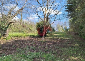 Foto 9 - Terreno edificabile Via Santa Croce
 
11, Sant'Angelo a Cupolo - foto 9