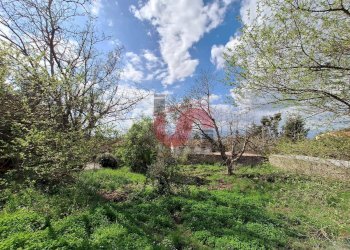 Foto 11 - Terreno edificabile Via Santa Croce
 
11, Sant'Angelo a Cupolo - foto 11