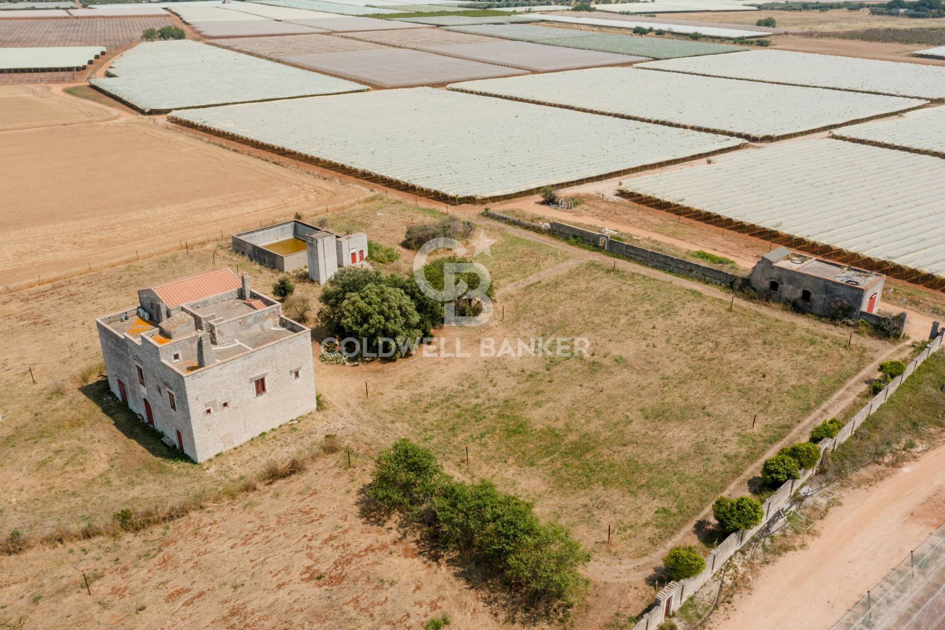 Foto 3 - Rustico contrada petruso, Rutigliano - foto 3