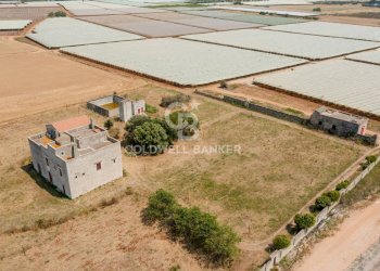 Foto 3 - Rustico contrada petruso, Rutigliano - foto 3