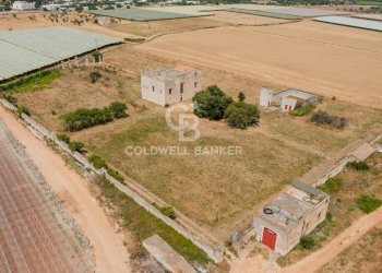 Foto 4 - Rustico contrada petruso, Rutigliano - foto 4