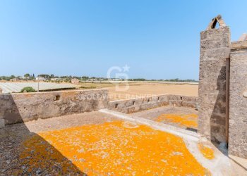 Foto 25 - Rustico contrada petruso, Rutigliano - foto 25