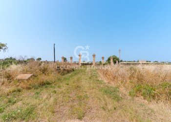 Foto 27 - Rustico contrada petruso, Rutigliano - foto 27