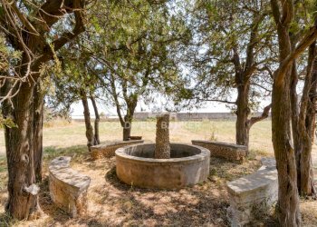 Foto 28 - Rustico contrada petruso, Rutigliano - foto 28