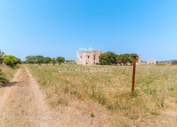 Foto 29 - Rustico contrada petruso, Rutigliano - foto 29