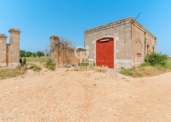 Foto 30 - Rustico contrada petruso, Rutigliano - foto 30