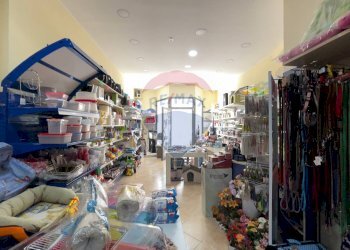 Dispensa di stoccaggio - Locale Commerciale Santeramo in Colle - foto 4