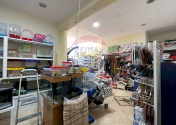 Dispensa di stoccaggio - Locale Commerciale Santeramo in Colle - foto 6