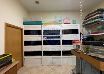 Dispensa di stoccaggio - Locale Commerciale Santeramo in Colle - foto 7