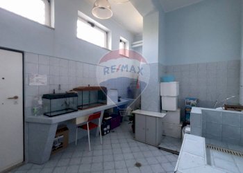 Bagno - Locale Commerciale Santeramo in Colle - foto 8