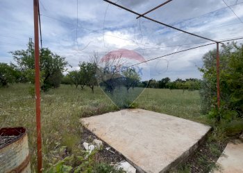 Giardino - Villa Santeramo in Colle - foto 21