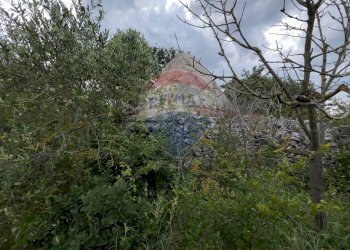 Giardino - Villa Santeramo in Colle - foto 22