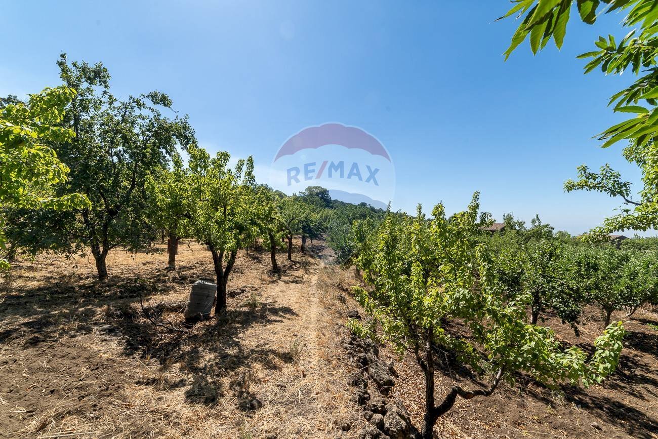 Giardino - Terreno agricolo Contrada Canalotto
 
snc, Centuripe - foto 1
