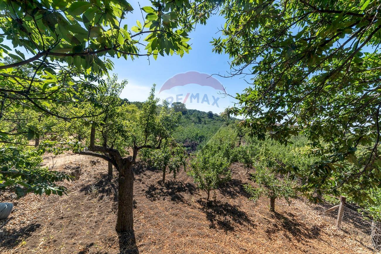 Giardino - Terreno agricolo Contrada Canalotto
 
snc, Centuripe - foto 2
