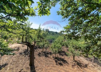 Giardino - Terreno agricolo Contrada Canalotto
 
snc, Centuripe - foto 2