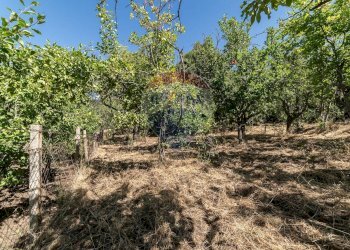 Giardino - Terreno agricolo Contrada Canalotto
 
snc, Centuripe - foto 6