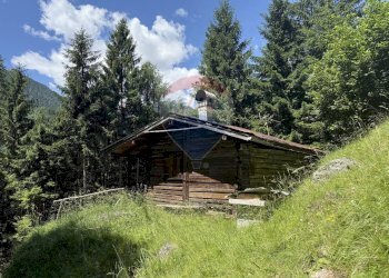 Casa all\'aperto - Rustic Via Rizzios
 
Snc, Calalzo di Cadore - photo 2