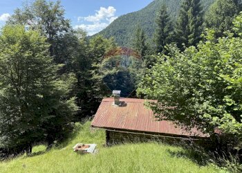 Giardino - Rustic Via Rizzios
 
Snc, Calalzo di Cadore - photo 5