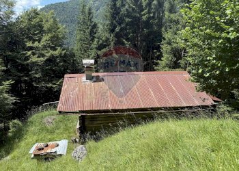 Giardino - Rustic Via Rizzios
 
Snc, Calalzo di Cadore - photo 7