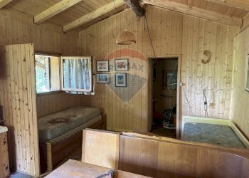 Camera / camera da letto - Rustic Via Rizzios
 
Snc, Calalzo di Cadore - photo 11