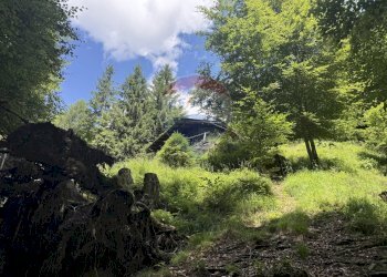 Giardino - Rustic Via Rizzios
 
Snc, Calalzo di Cadore - photo 14