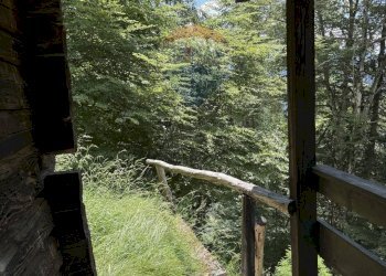 Giardino - Rustic Via Rizzios
 
Snc, Calalzo di Cadore - photo 16